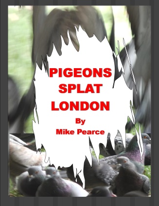 pigeons
