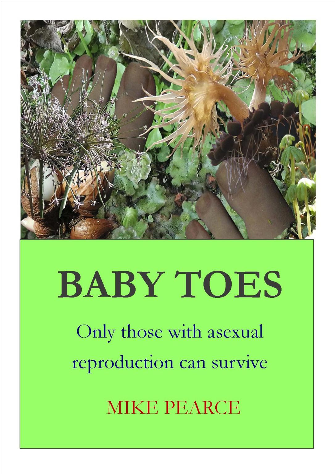 Baby Toes cover jpeg