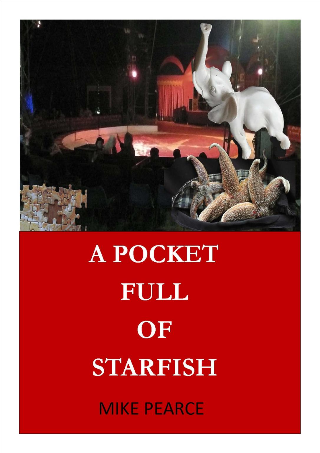 A Pocket full of Starfish jpeg
