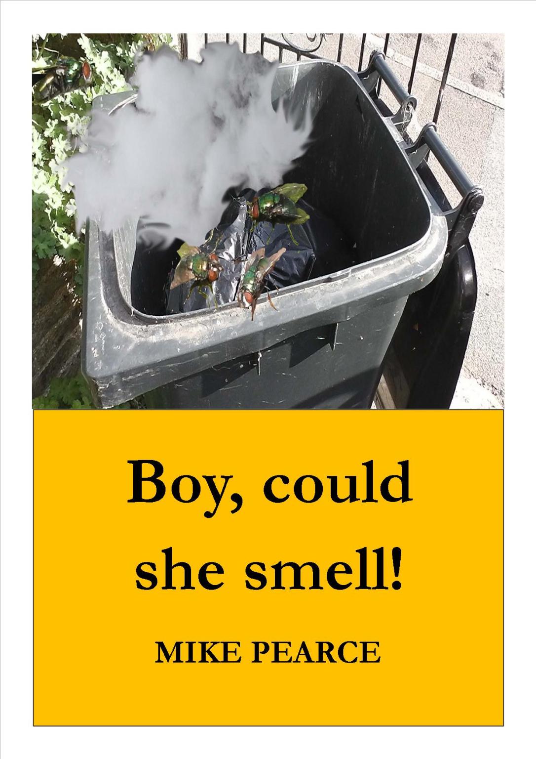 Boy,could see smell! cover jpeg