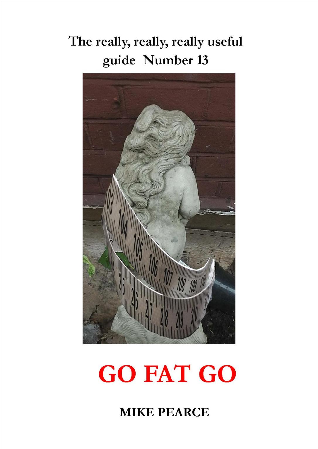 Go Fat Go cover jpeg