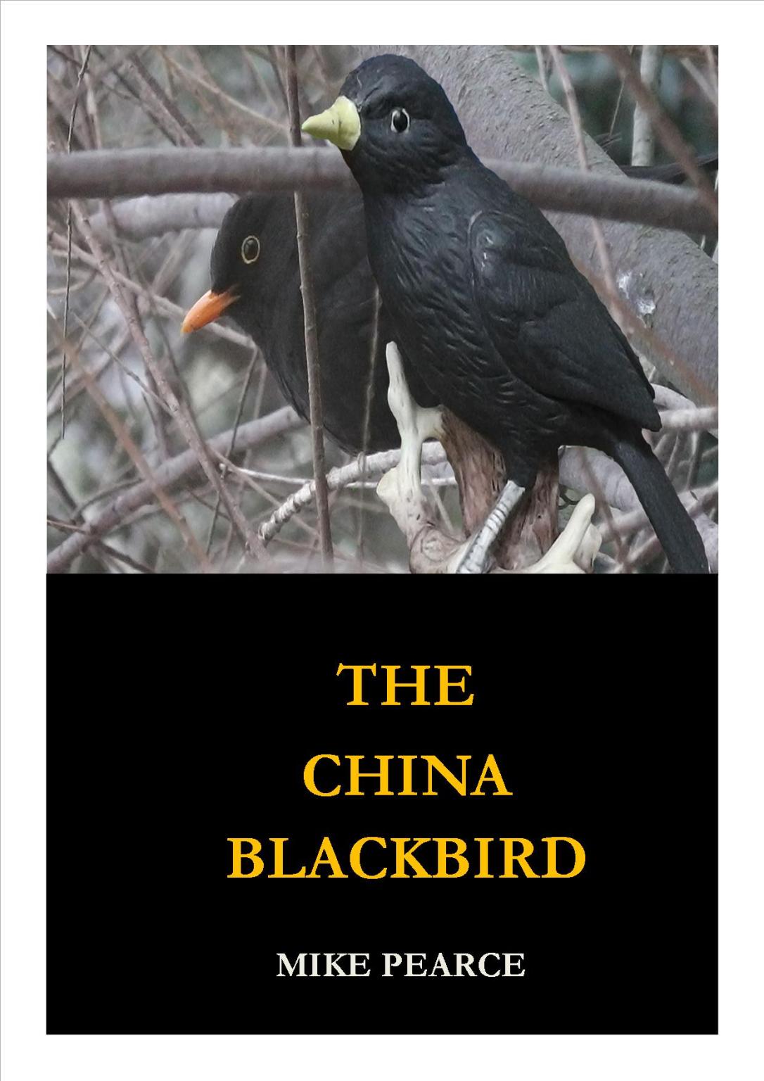 The China Blackbird cover jpeg
