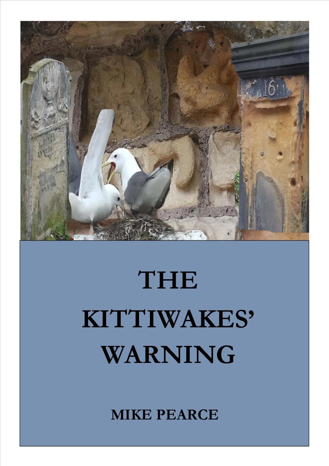 The Kittiwakes' warning cover jpeg
