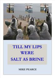Till My Lips were Salt as Brine cover jpeg