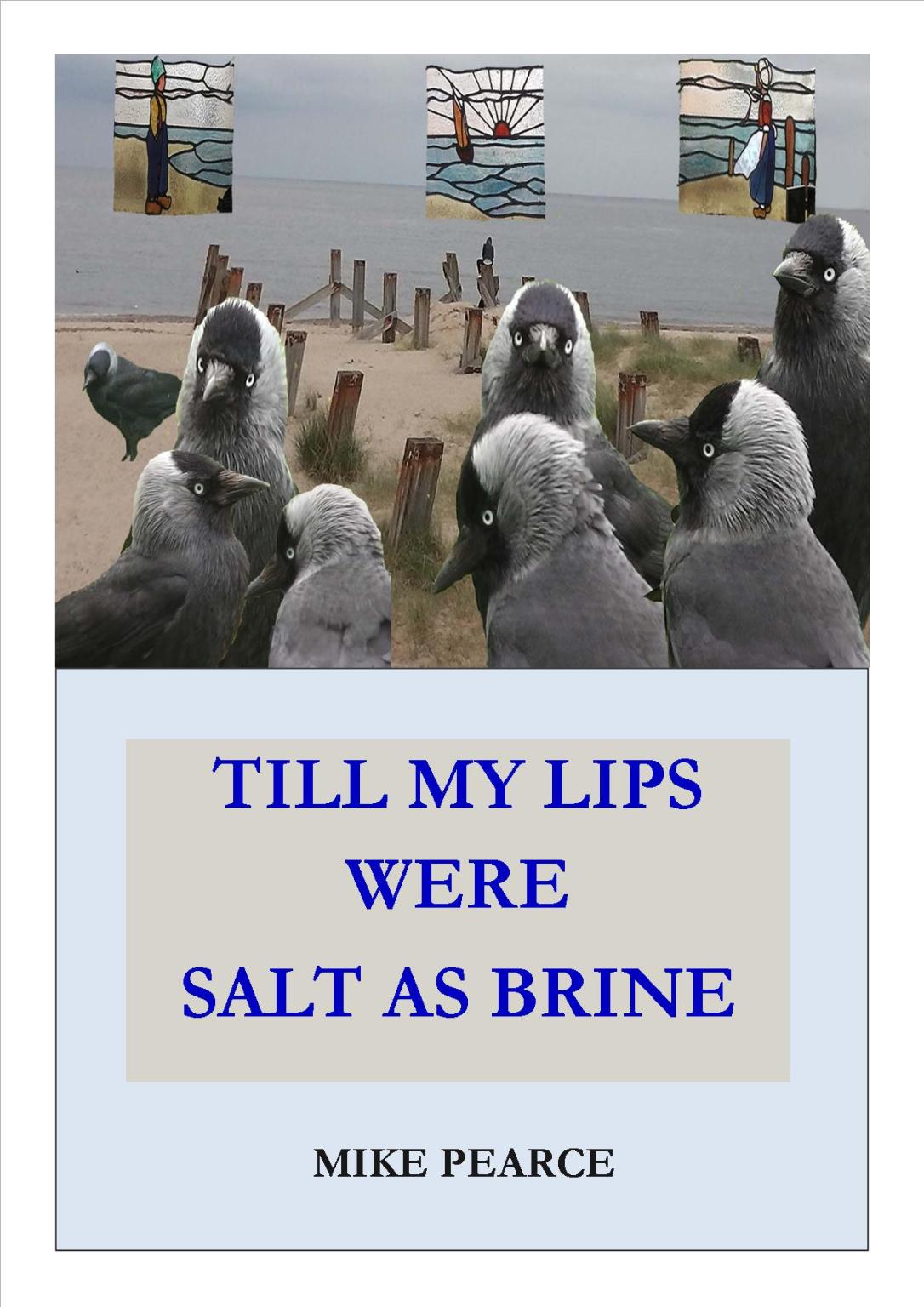 Till My Lips were Salt as Brine cover jpeg