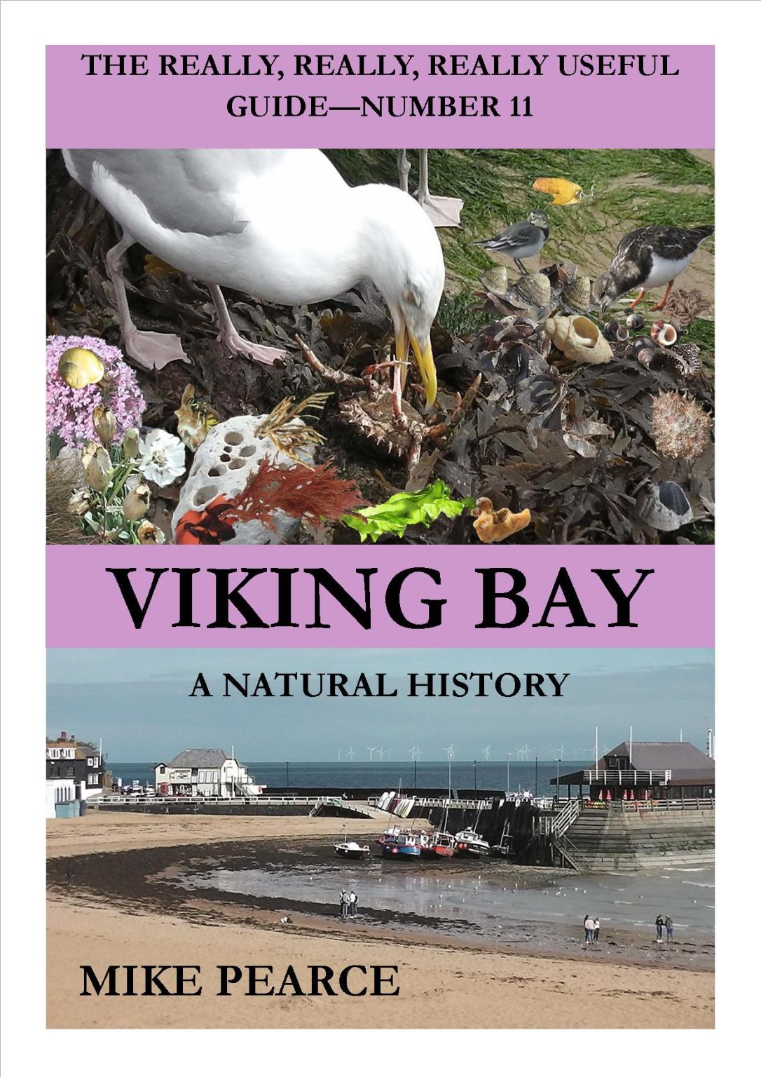 VIKING BAY COVER jpeg